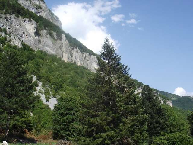 Загородные дома Bojovic Rooms Gusinje-25