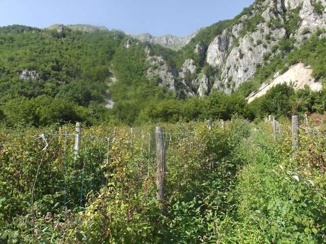 Загородные дома Bojovic Rooms Gusinje-30
