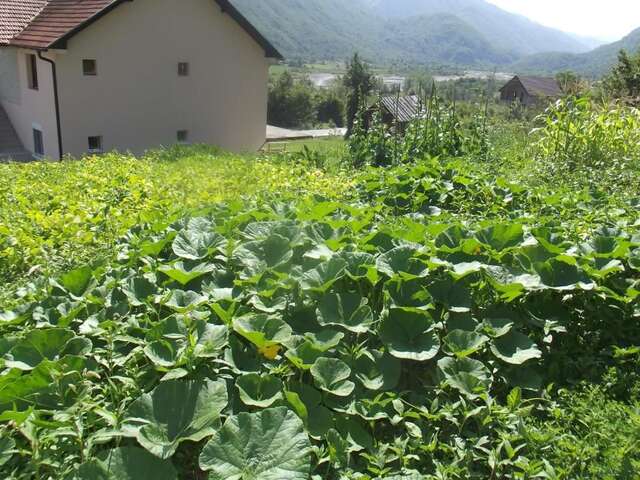 Загородные дома Bojovic Rooms Gusinje-37