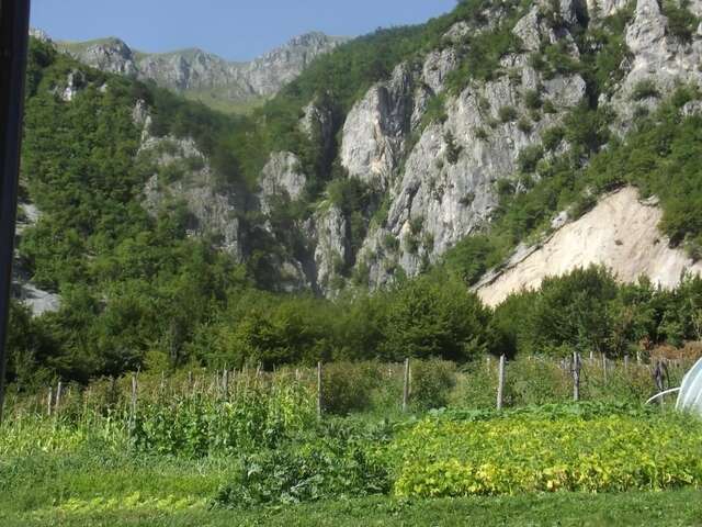 Загородные дома Bojovic Rooms Gusinje-49